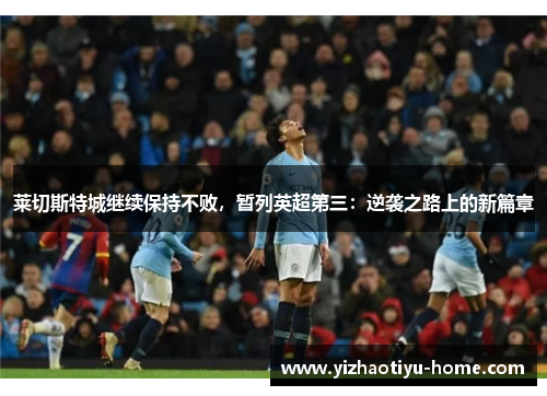 莱切斯特城继续保持不败，暂列英超第三：逆袭之路上的新篇章